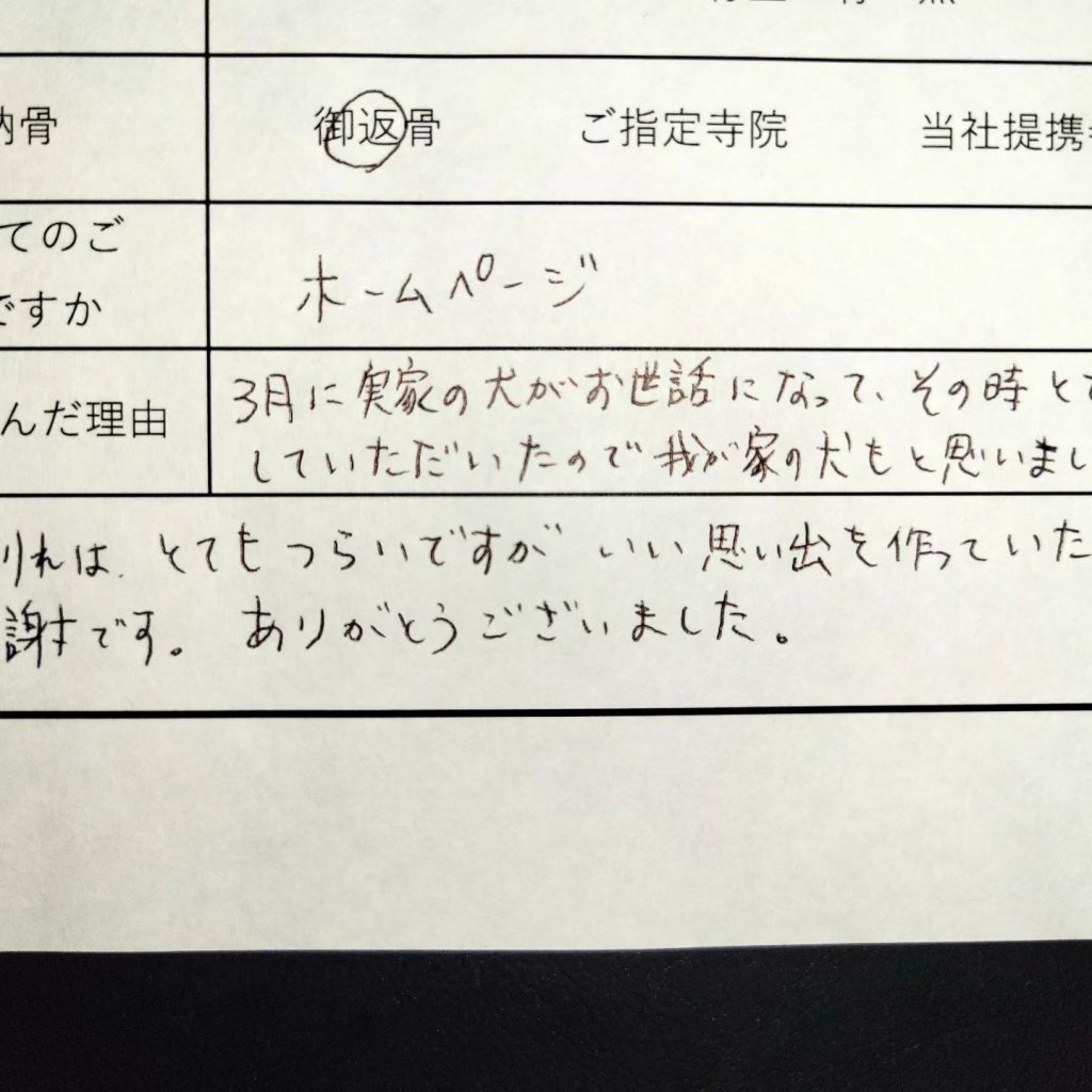 ７月にご依頼くださいました飼い主様から嬉しいお言葉頂きました。