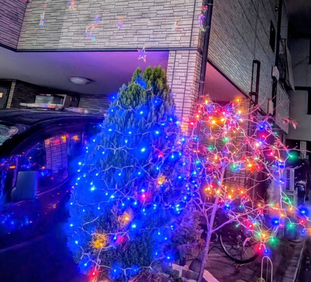 イルミネーションを点灯しました青く輝く木々や色とりどりの灯りに、少しワクワクする季節になりました。