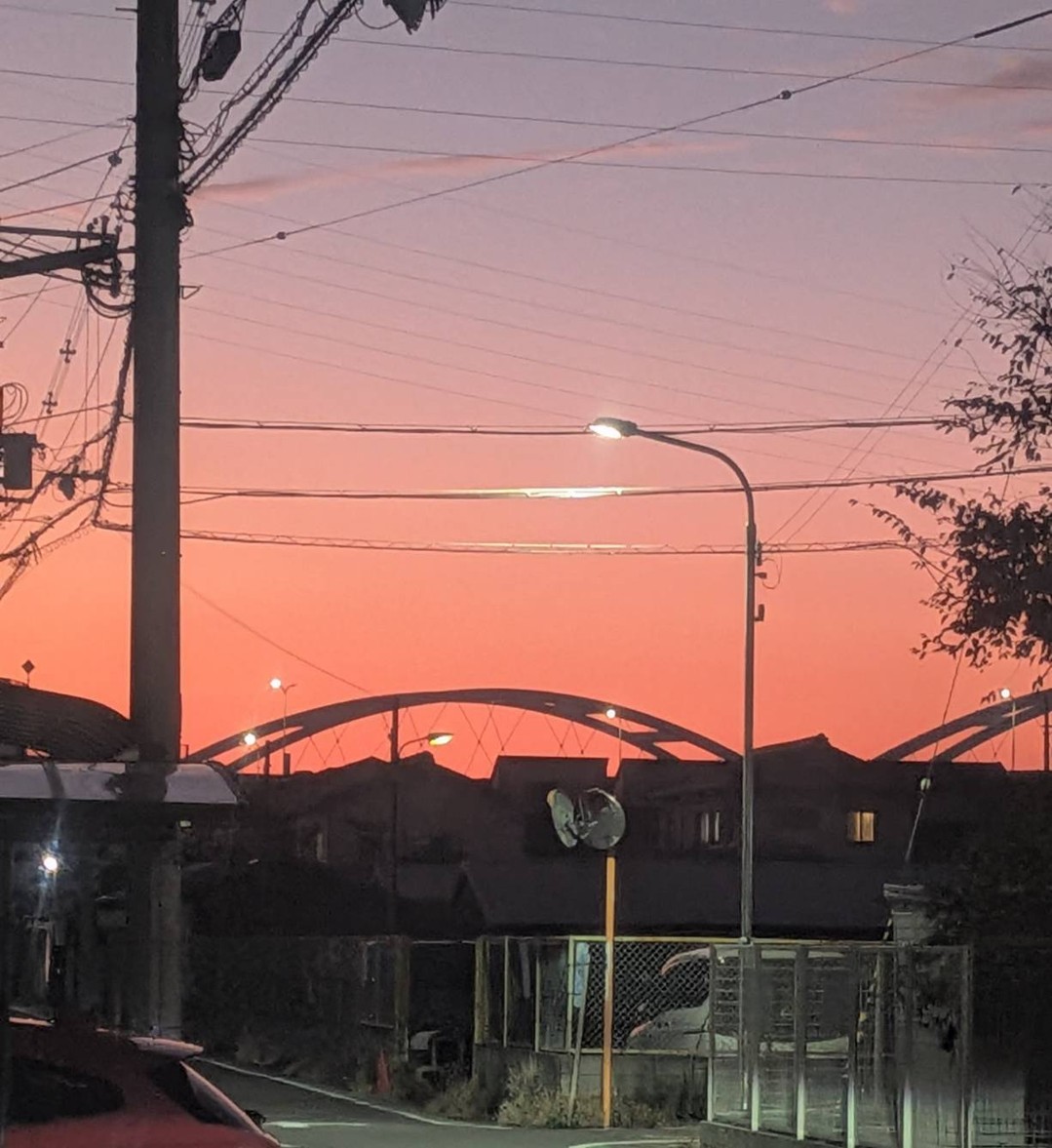 夕焼けの綺麗な日にワンちゃんの最期のお見送りをお手伝いさせて頂きました。同じ時を共有してきた大切な家族との別れは、非常に辛く悲しいものです。ご冥福をお祈りします。ペット訪問火葬のペットダイアリーでは、安らかに眠れるよう飼い主様の感謝の気持ちを込め、心のこもったお別れのセレモニーをご提供いたします。ペット火葬炉を設置したセレモニー車で大阪府全域に出張いたしますので、ご自宅で最後のお別れができます。早朝・深夜を問わず、24時間365日対応しておりますので、どうぞお気軽にご相談ください。#ペット火葬 #訪問火葬 #ペット葬儀 #ペットセレモニー #ペットメモリアル #寝屋川市 #守口市 #門真市 #摂津市 #四条畷市 #枚方市 #夕焼け #お別れ