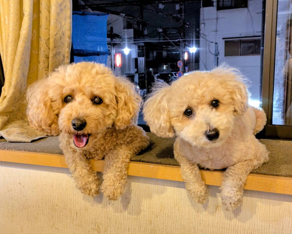 お盆も休まず営業しております。