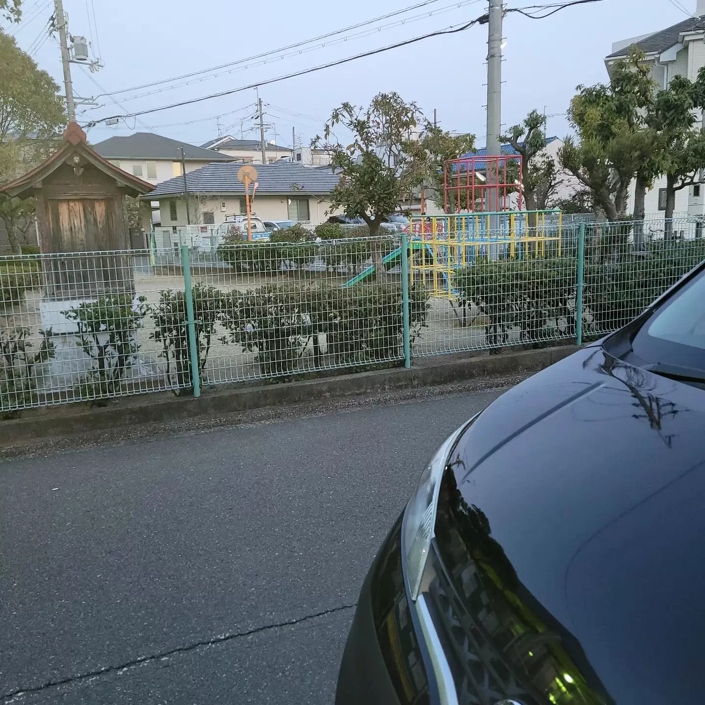 昨日はご近所で仲良くさせて頂いている方からのご依頼がありました。散歩コースな公園脇でお別れしましたご冥福をお祈りいたします