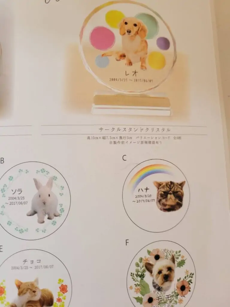 ペットとの大切な思い出を心に刻むペットメモリアルのご案内です。